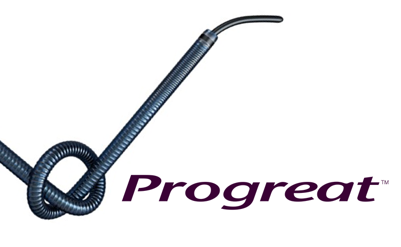 Progreat (image)