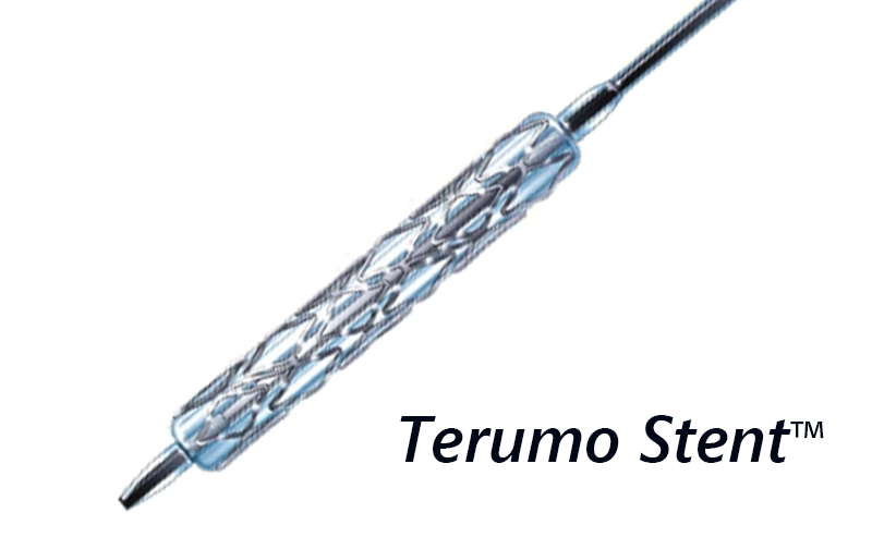 Terumo Stent (image)