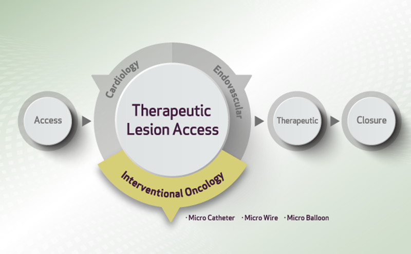 Interventional Oncology - Theraputic Lesion Access (TLA) (image)