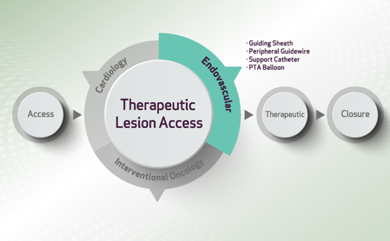 Peripheral - Theraputic Lesion Access (TLA) (image)