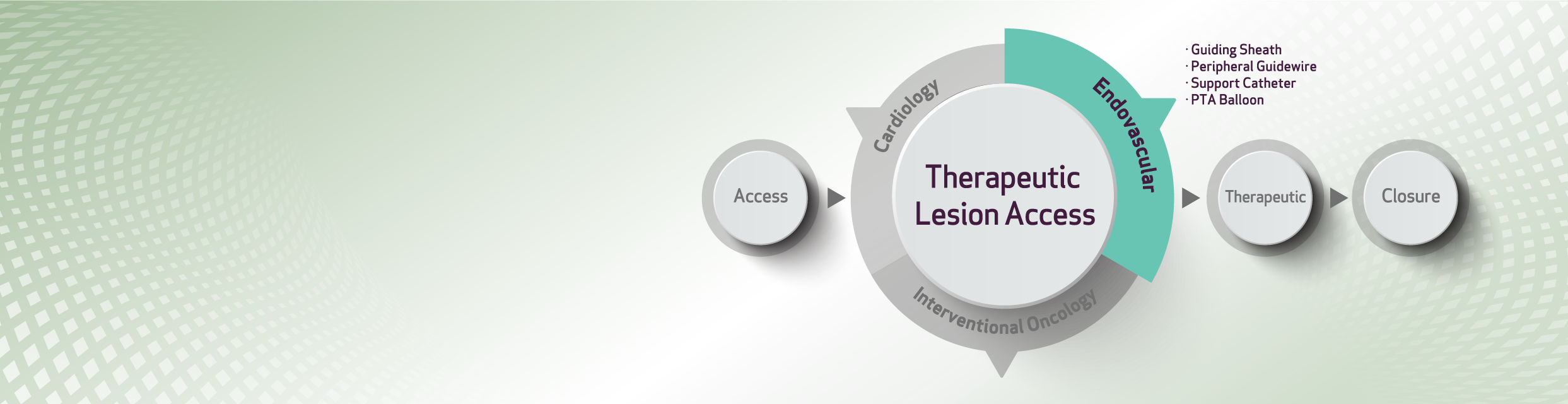 Peripheral - Theraputic Lesion Access (TLA) (image)