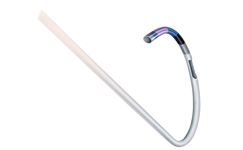 PTCA guiding catheter heartrail (image)