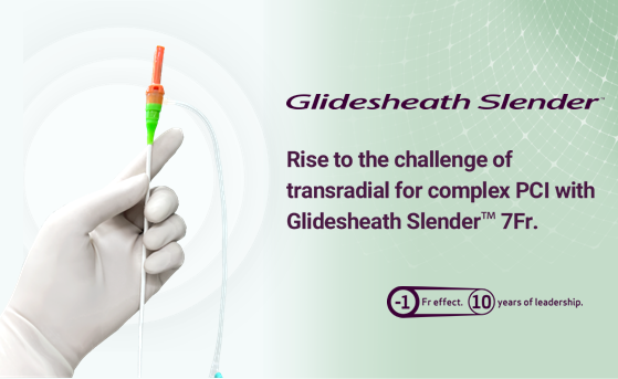 Glidesheath Slender 10th Campaign (image)