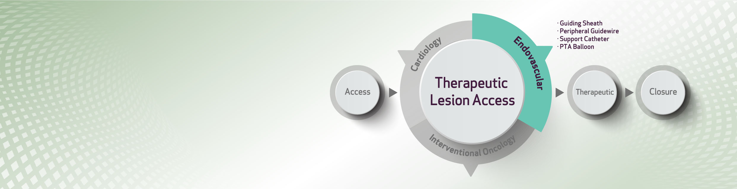 Peripheral - Theraputic Lesion Access (TLA) (image)