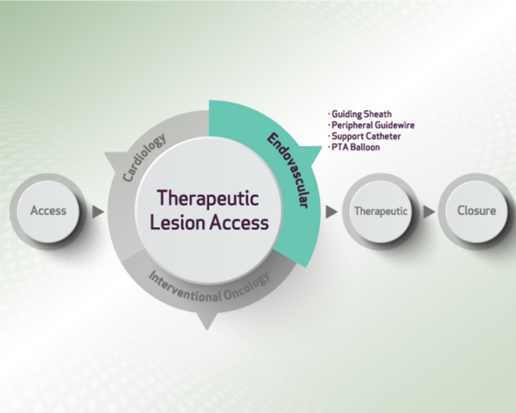 Peripheral - Theraputic Lesion Access (TLA) (image)
