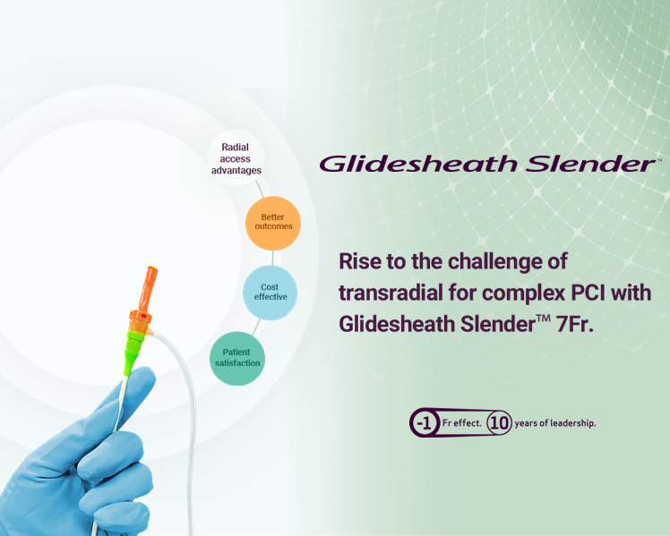 Glidesheath Slender 10th Campaign (image)