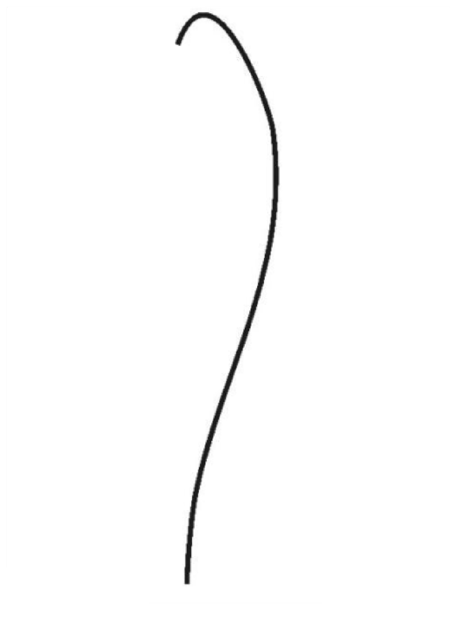 PIM_3985905_RH4BPJP00M.jpg