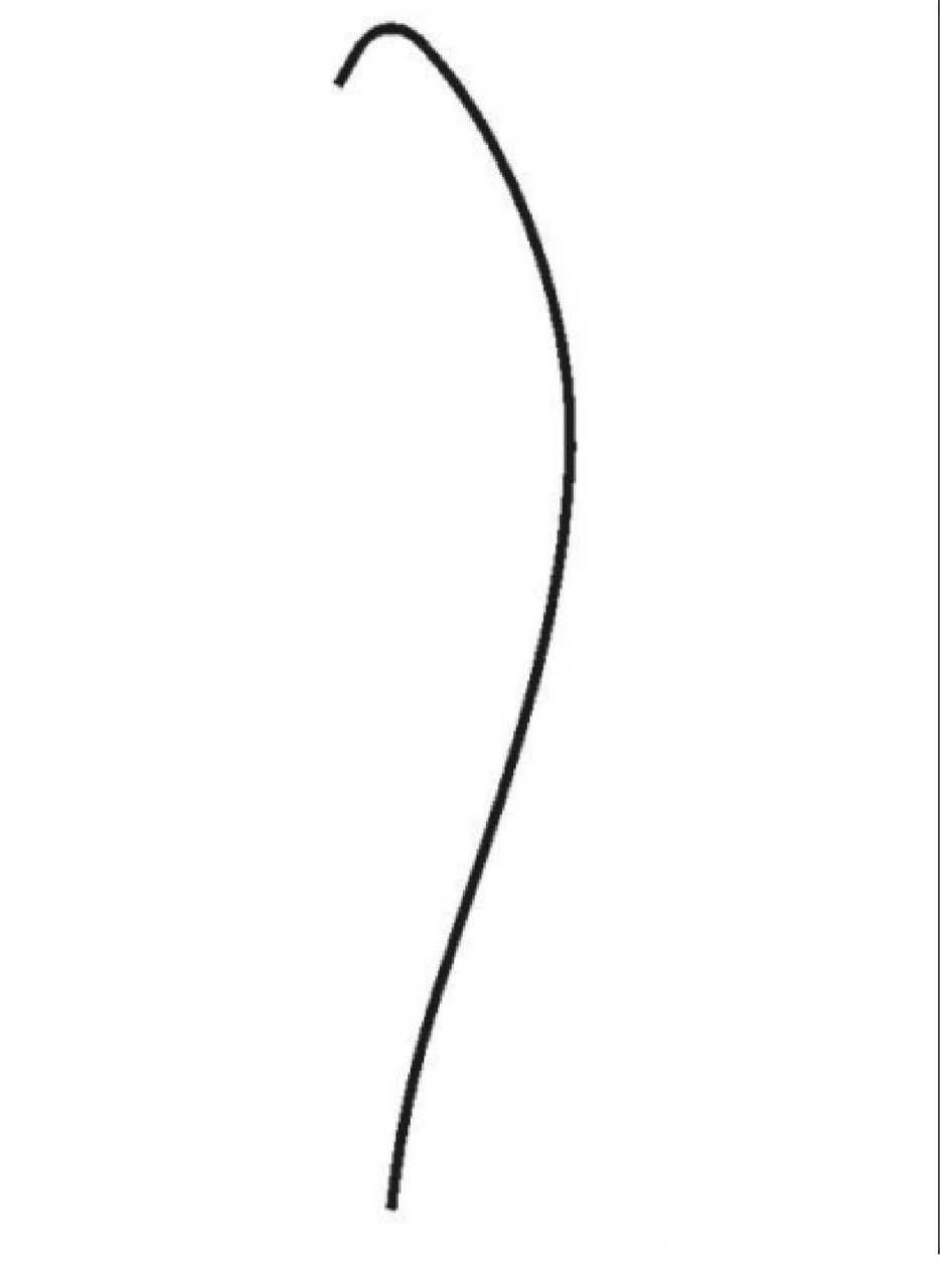 PIM_3985924_RH5BPIM00M.jpg