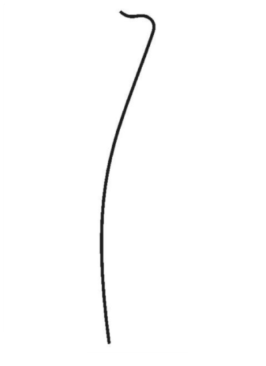 PIM_3990422_RH6ARJP00M.jpg