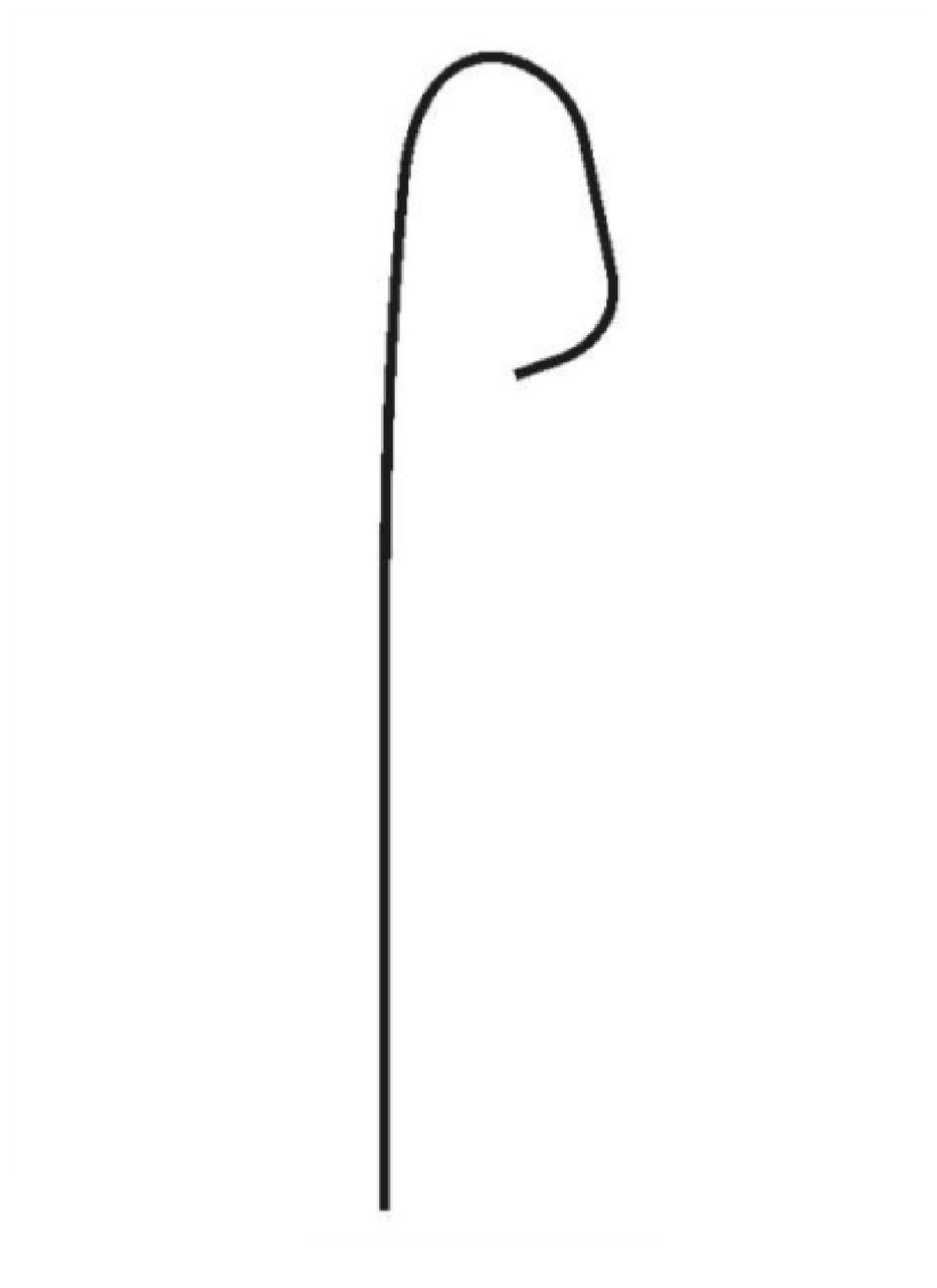 PIM_3990424_RH6CL4020M.jpg
