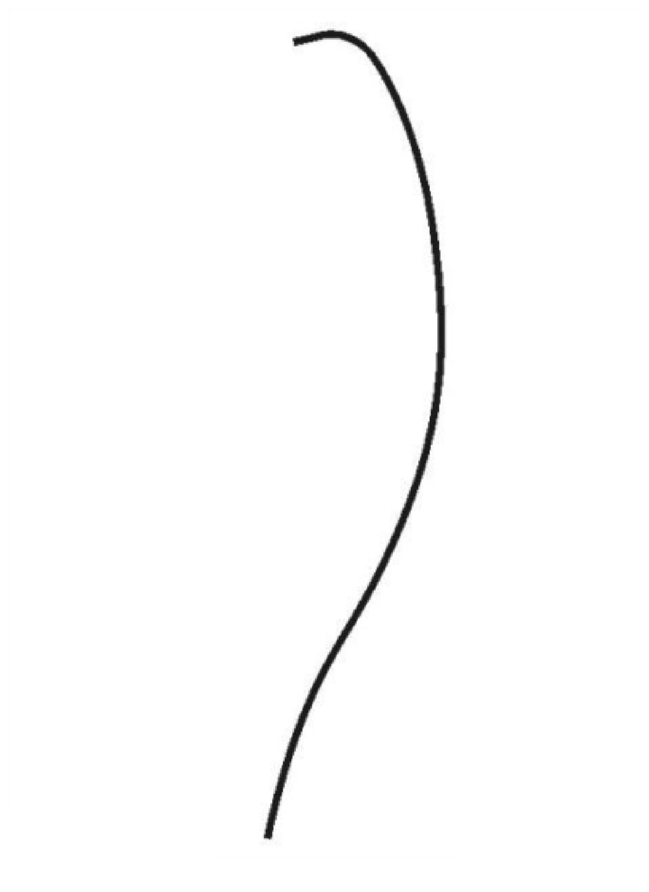 PIM_3990428_RH6CR6000M.jpg