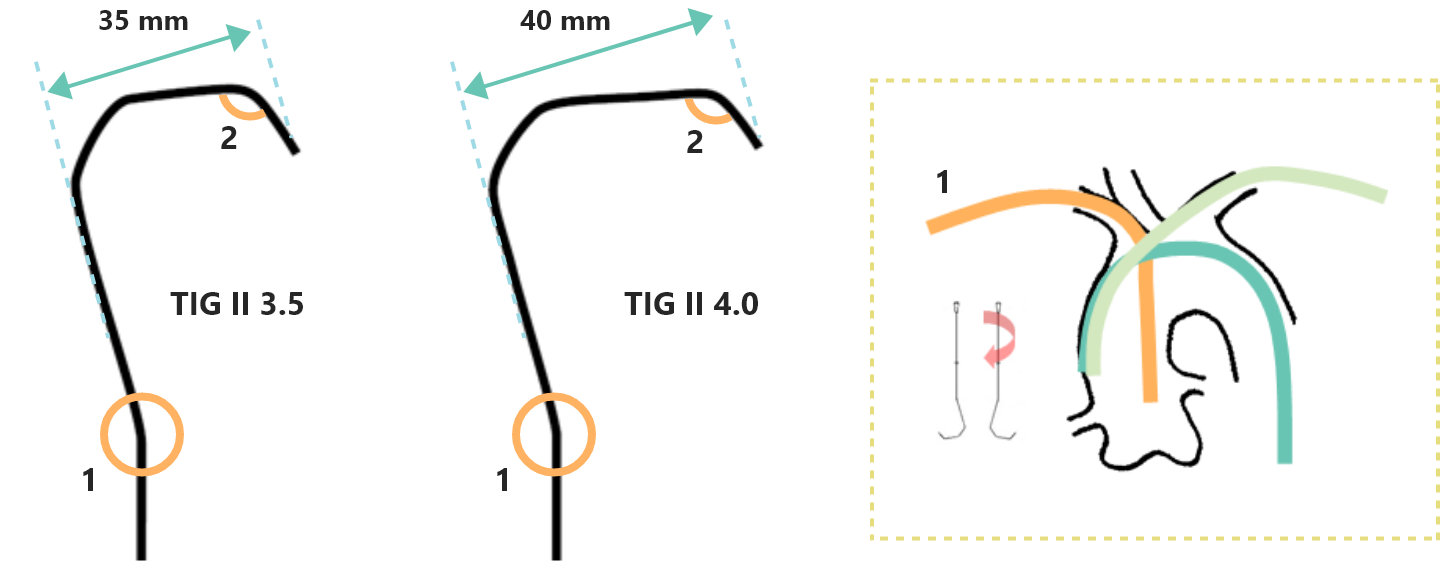 Shape of Optitorque (image)