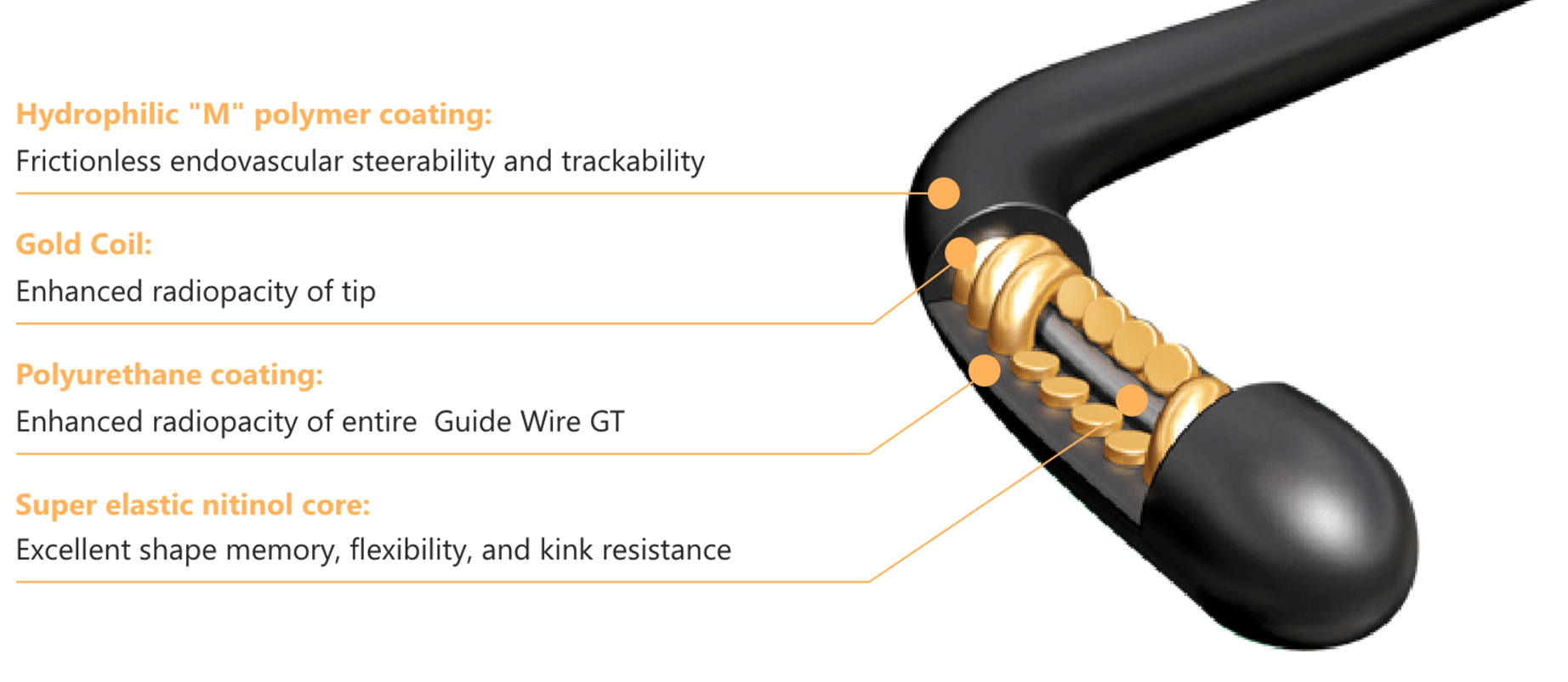 RADIFOCUS™ Guide Wire GT with gold coil (image)