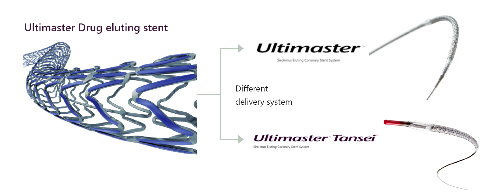 featured_ultimaster_faq_10.png