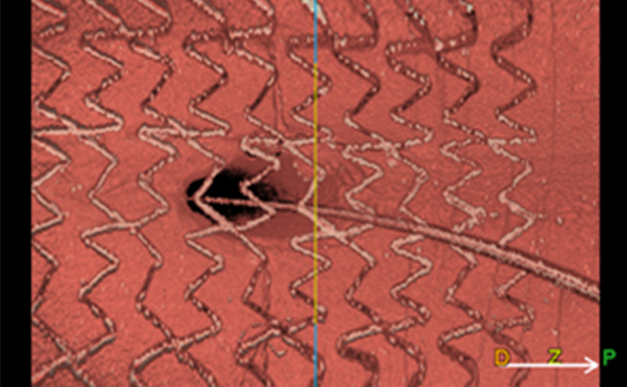 3D viewing mode: Carpet View (image)