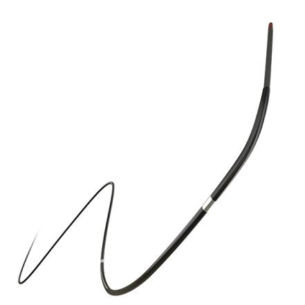 Support Catheter (image)