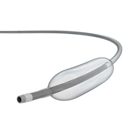 Micro Balloon (image)