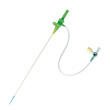 Introducer Sheath (image)