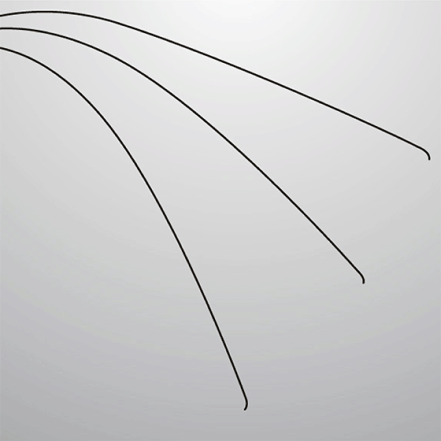 Guidewire (image)