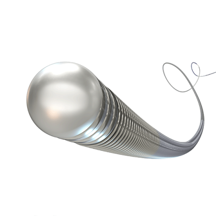 PTCA Guidewire (image)
