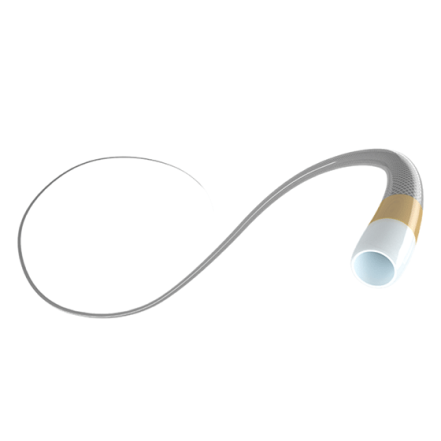 Coronary Micro Catheter (image)