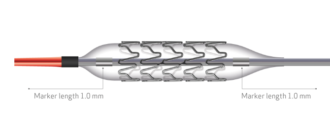 Explanation about specification of Ultimaster Nagomi™ product (image)_es